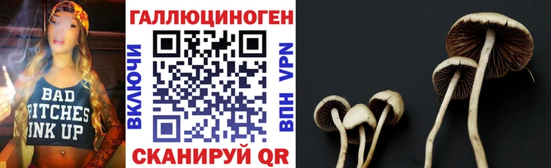 Галлюциногенные грибы прущие грибы  Кирсанов 